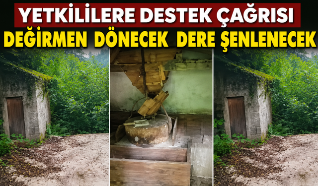 Yeşilköy'deki Tarihi Değirmen İçin Turizm Çağrısı
