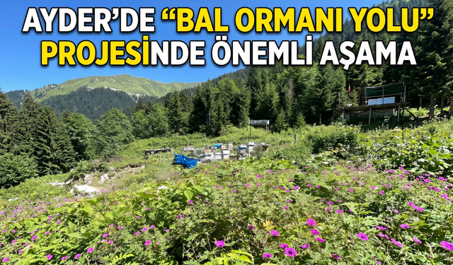 Ayder’de Bal İçin Tarihi Adım