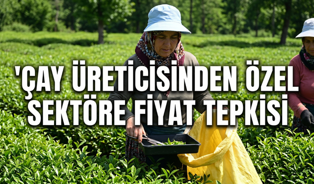 Çay Üreticisinden Özel Sektöre Fiyat Tepkisi