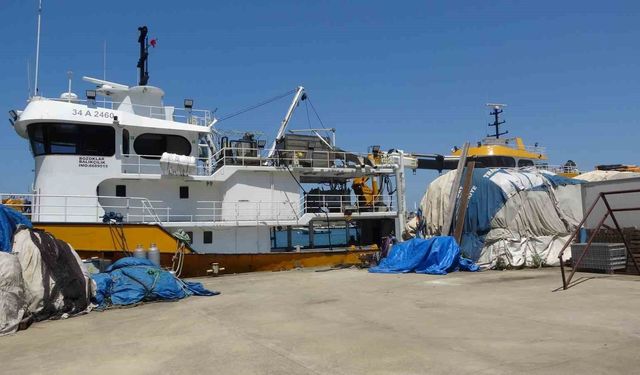Balıkçıların Yeni Sezonda Umudu Palamut