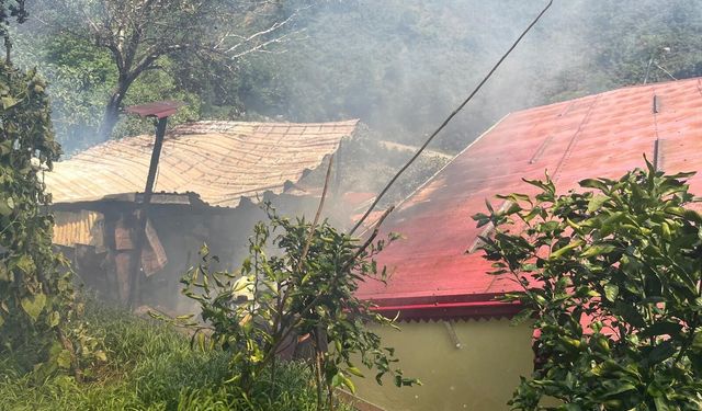 Trabzon'da Odunluk Alevlere Teslim Oldu: 1 Yaralı