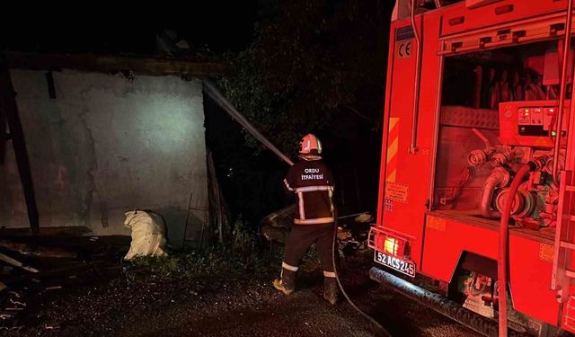 Ordu'da Ahır Yangını: 1 Buzağı Telef Oldu