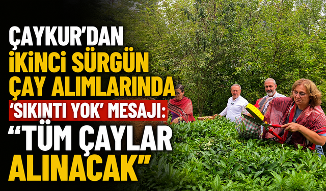 ÇAYKUR'dan İkinci Sürgün Çay Alımlarında 'Sıkıntı Yok' Mesajı: "Tüm Çaylar Alınacak