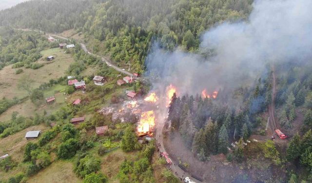 Kastamonu'da Köy Alevlere Teslim Oldu: 9 Ev Küle Döndü