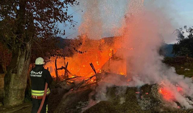 Ordu'da Alevler İçinde Kalan Ev Küle Döndü