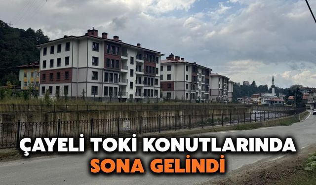 Çayeli Toki Konutlarında Son Durum: Yüzde 98 Bitti