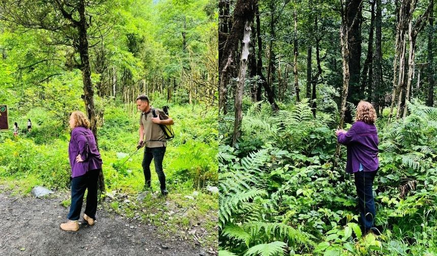 'Şimşir Ormanı' İçin Çalışmalar Sürüyor