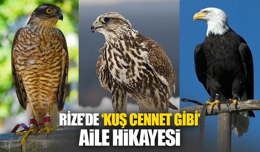 Rize'den Kuş Cenneti Gibi Bir Aile Hikayesi!