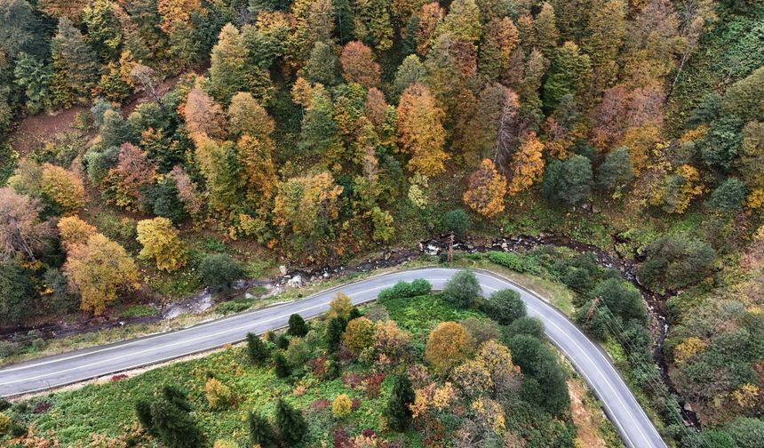 Doğu Karadeniz’de sonbahar manzaraları