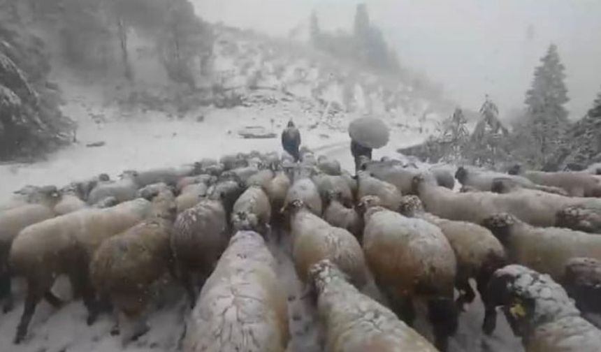 Kar Bastırınca Yayladan Mezraya 3 Günde Ulaştılar