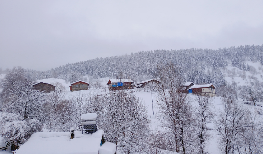 Artvin'de Kar Kalınlığının 1 Metreyi Bulduğu Köyde Gece Gündüz Çatı Temizleniyor