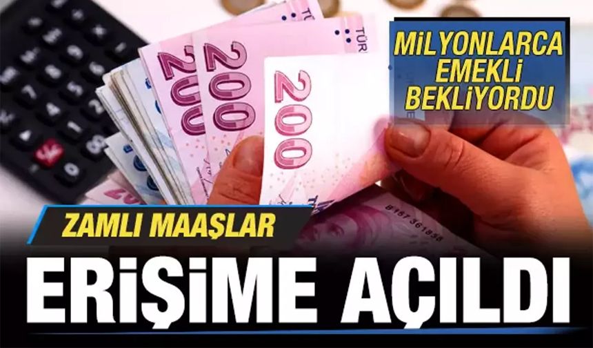 Emeklilere Yeni Maaş Zammı Açıklaması e-Devlet'te!