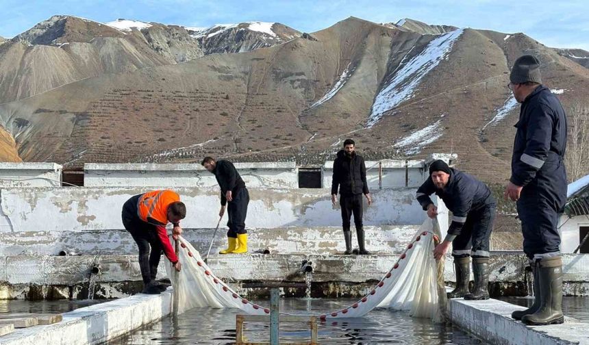 Erzincan, Avrupa’nın Sayılı Su Ürünleri Tesislerinden Biri Oluyor