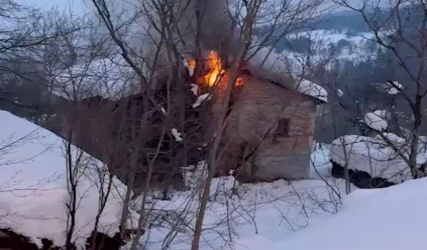 Yolu ulaşıma kapanan köydeki 2 katlı ev alevlere teslim oldu