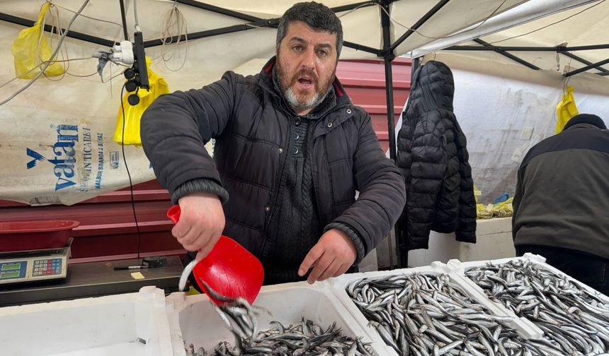 Zonguldak’ta Hamsi 100 Liradan Alıcı Buldu