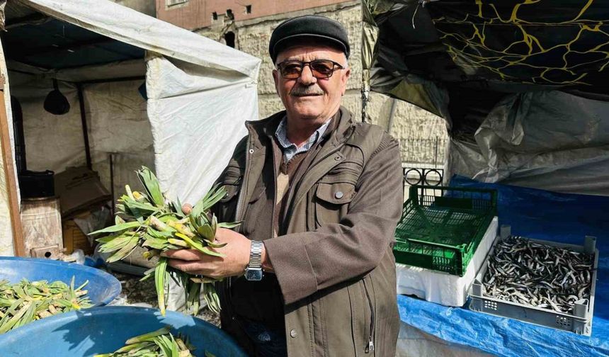 Çiriş Otu Tezgahlarındaki Yerini Aldı