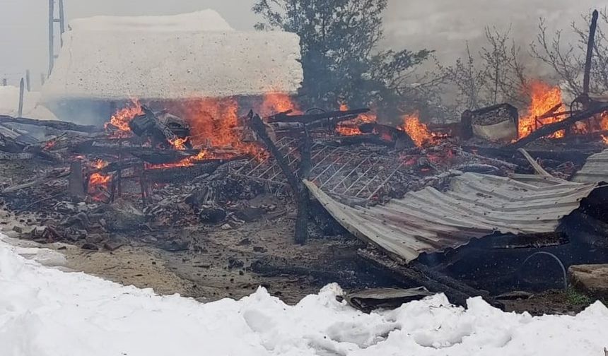 Ordu’da Ahşap Ev Küle Döndü, Ev Sakinleri Son Anda Kurtuldu