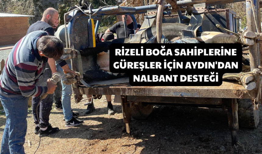 Rizeli Boğa Sahiplerine Güreşler İçin Aydın'dan Nalbant Desteği