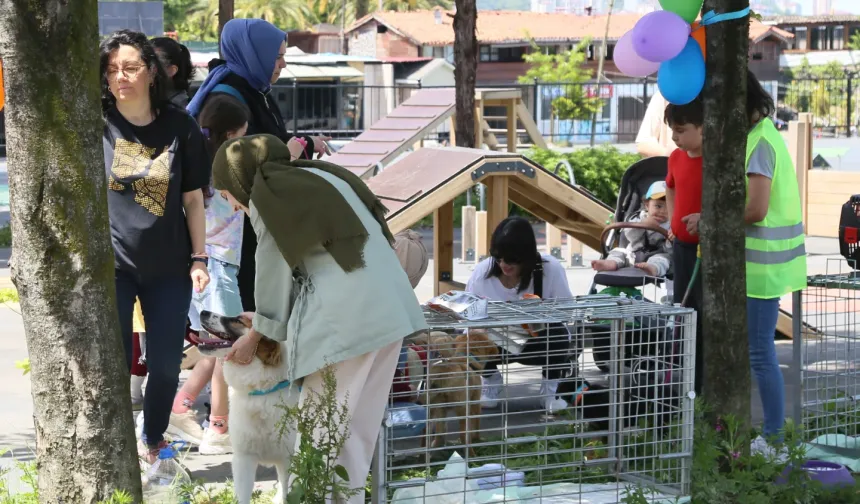 Rize Belediyesi Minik Canları Yeni Yuvalarıyla Buluşturdu!