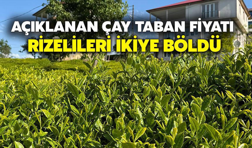 Açıklanan Çay Taban Fiyat Rizelileri İkiye Böldü