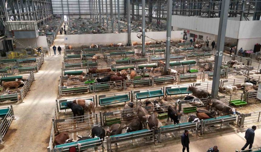 5 Yılda 2 Milyon Kişi Ziyaret Etti