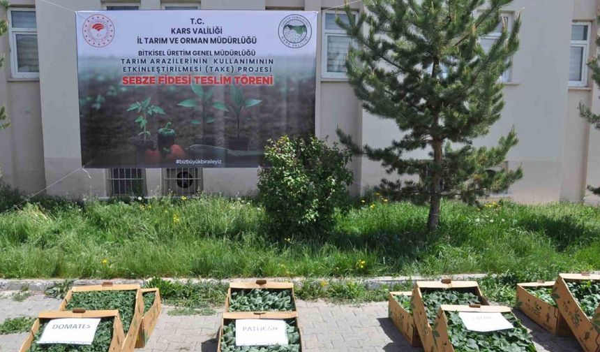 Kars’ta Binlerce Sebze Fidesi Dağıtıldı