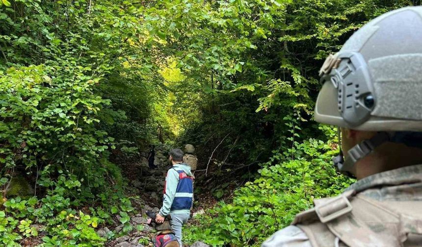 Komandolar Yaylalarda Didik Didik Arama Yaptı