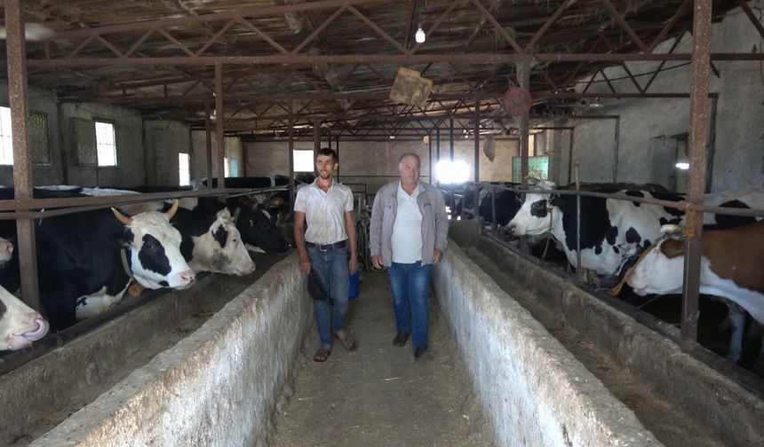 Kurbanlık Alırken Küpe Ve Ağırlık Uyarısı