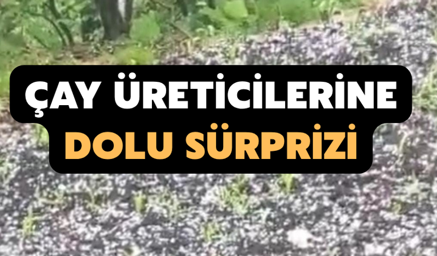 Çay Üreticilerine Dolu Sürprizi