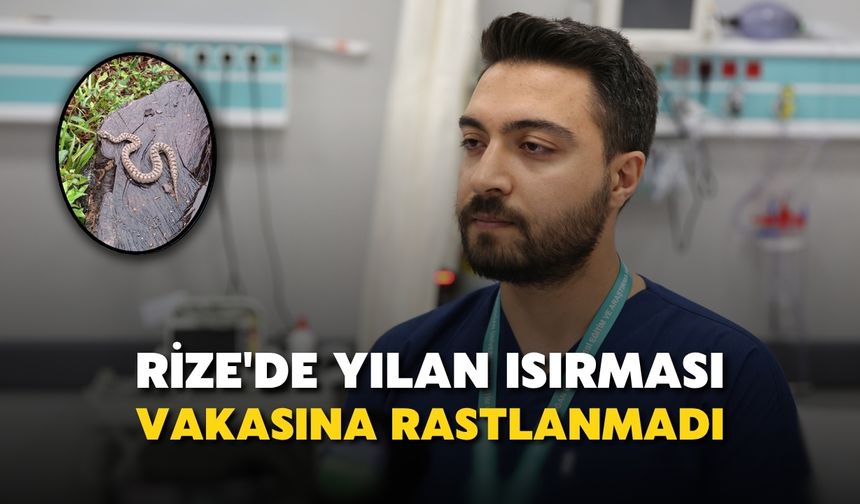 Rize'de Yılan Isırması Vakasına Rastlanmadı