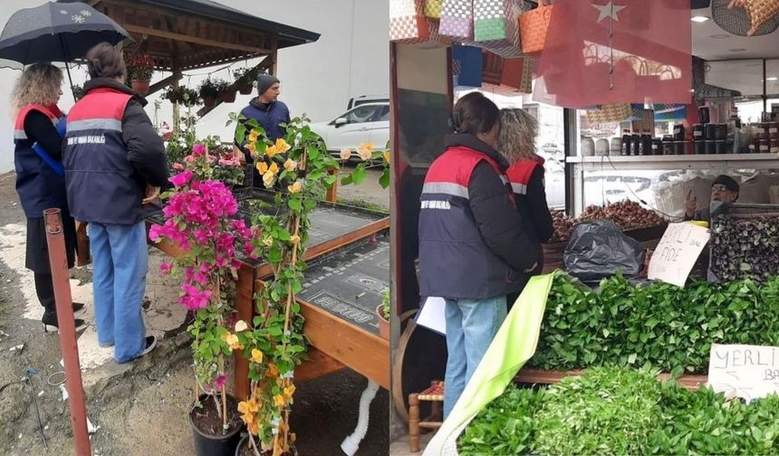 Rize'de Fide ve Fidan Satışları Denetleniyor