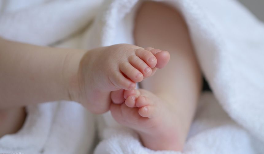 Rize'de Bebekler En Fazla Bu Ayda Dünyaya Geldi