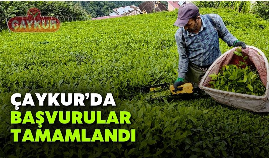 ÇAYKUR'DA BAŞVURULAR TAMAMLANDI
