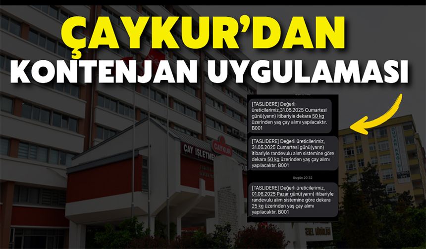 ÇAYKUR'da Yaş Çay Alım Kontenjanı 25 Kilograma Düşürüldü