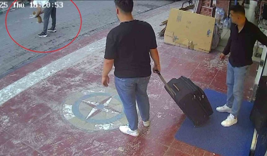 Kediye Heimlich manevrası yaparak hayatını kurtardı... O anlar kamerada