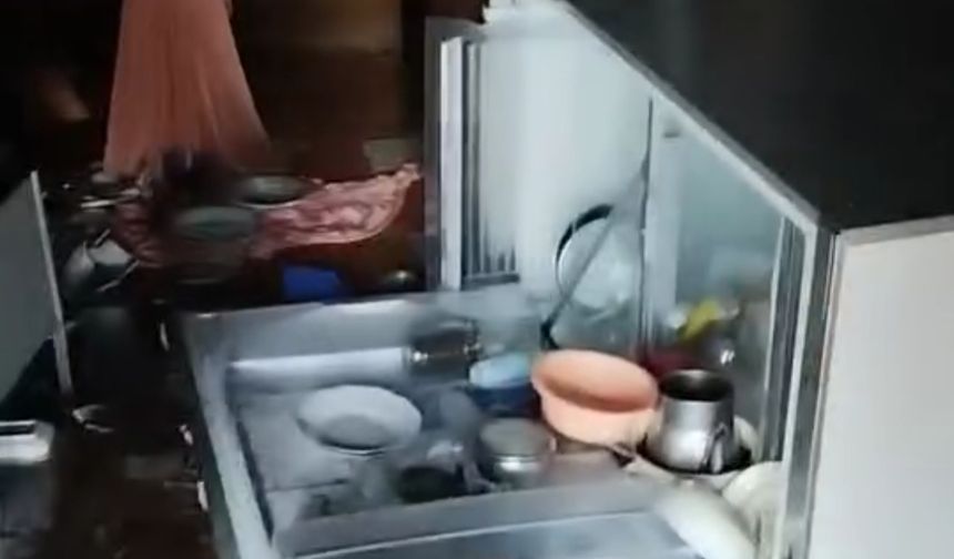 İkizdere'de ayılar yayla evlerine zarar verdi