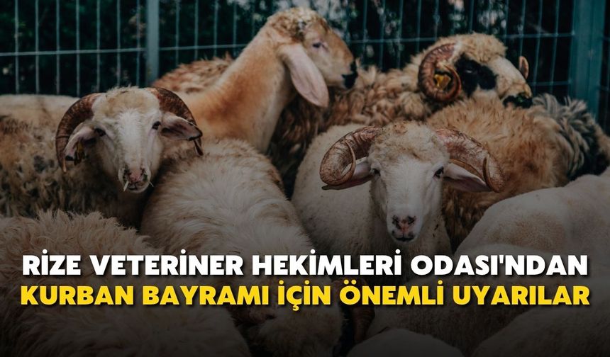 Rize Veteriner Hekimleri Odası'ndan Kurban Bayramı İçin Önemli Uyarılar