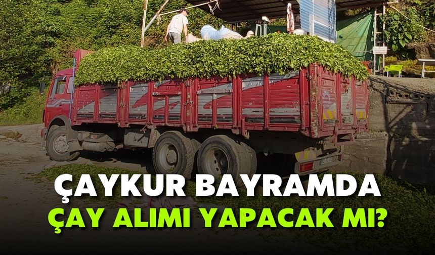 ÇAYKUR bayramda çay alacak mı?