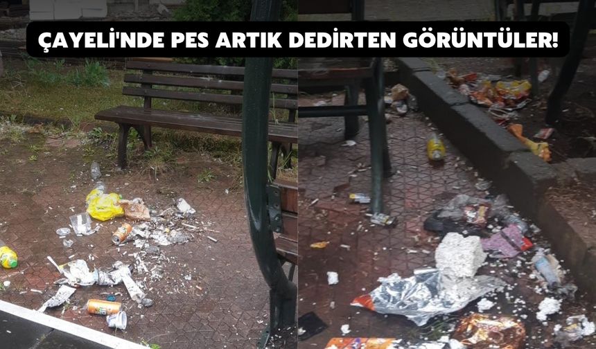 Çayeli'nde Pes Artık Dedirten Görüntüler