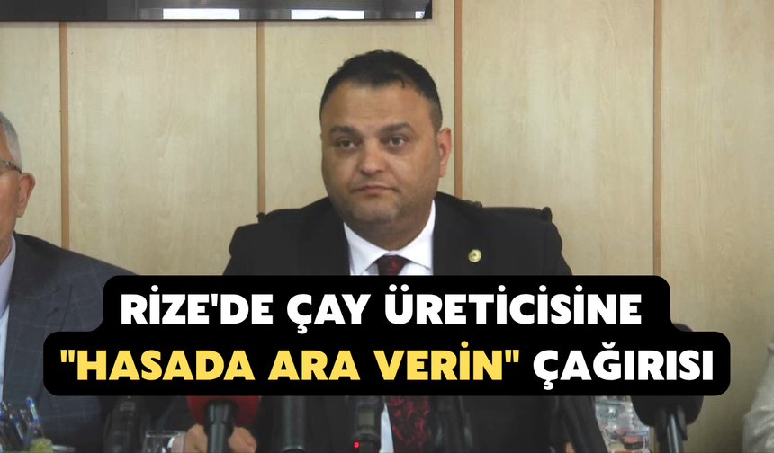 Rize'de Çay Üreticisine "Hasada Ara Verin" Çağırısı