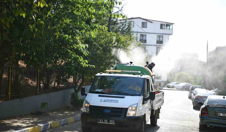 Bulaşıcı hastalıklara karşı ilaçlama yapılıyor