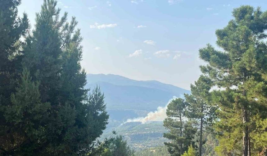 Denizli’de orman yangını