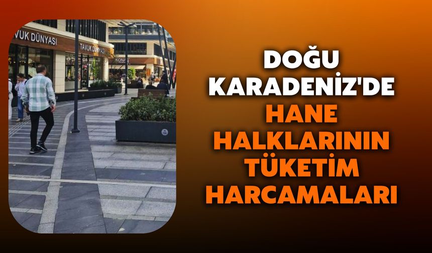 Doğu Karadeniz'de Hane Halklarının Tüketim Harcamaları