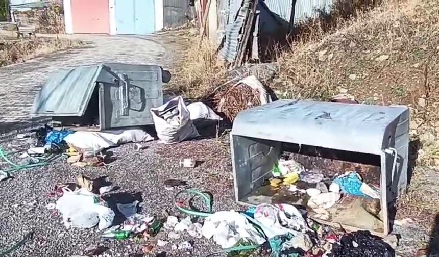 Boz Ayılar Yedigölleri Savaş Alanına Çevirdi