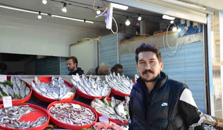 Mevsiminin En Lezzetli Balıkları Hamsi Ve Sardalya