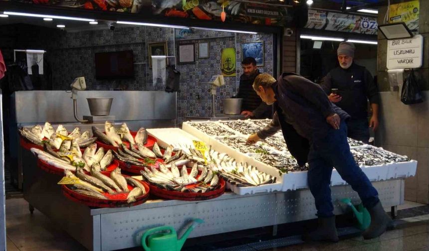 Palamut Sezonu Başlamadan Bitti, Umutlar Seneye Kaldı