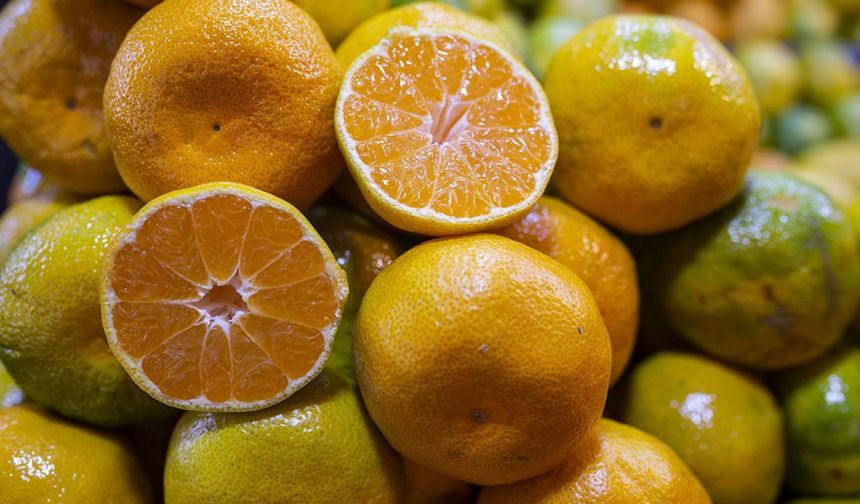 En Ucuz Meyve: Mandalina Bahçede 8 Tl'ye Kadar Düştü