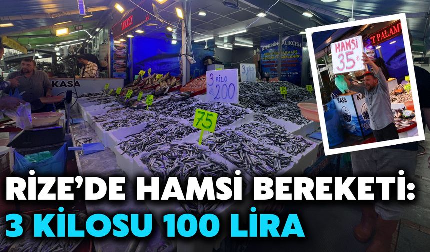 Rize’de Hamsi Bereketi: 3 Kilosu 100 Lira