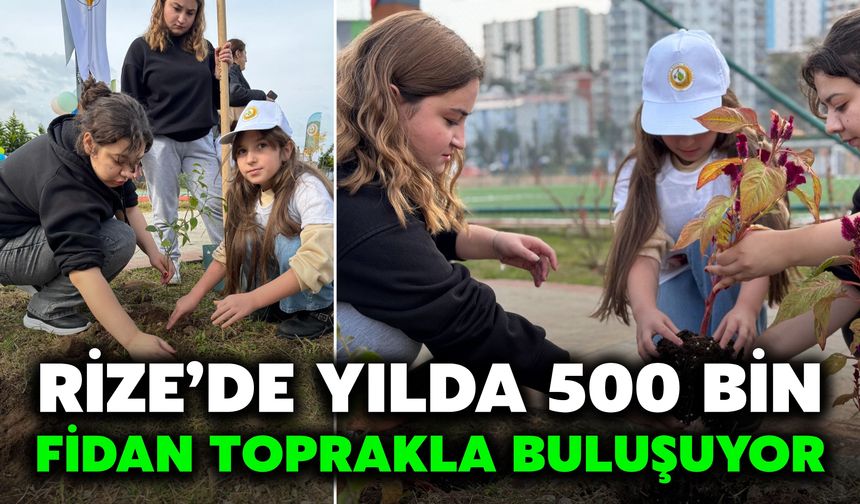 Rize’de Yılda 500 Bin Fidan Toprakla Buluşuyor
