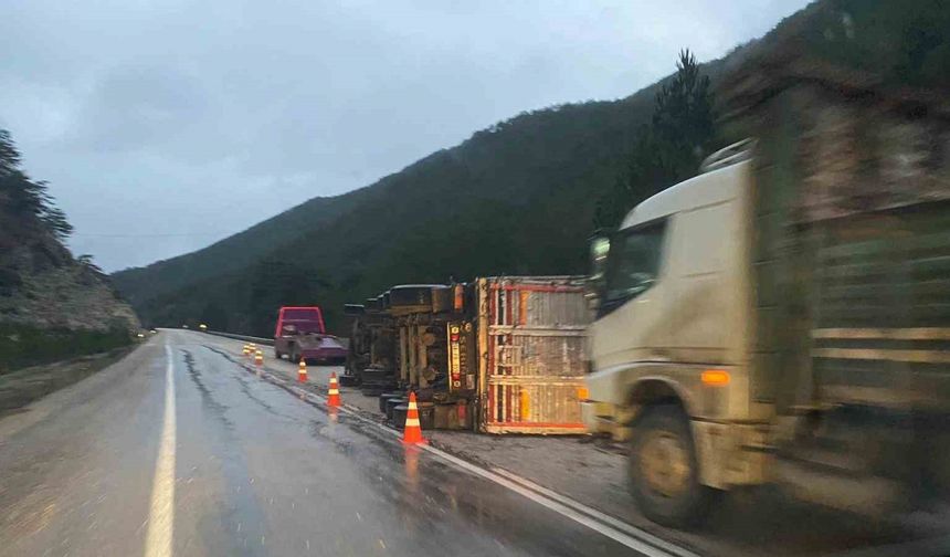 Bolu’da Odun Yüklü Tır Devrildi
